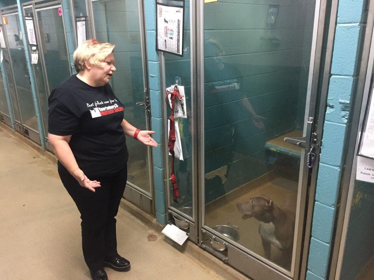 Spartanburg Humane Society plans new 25M animal shelter as county