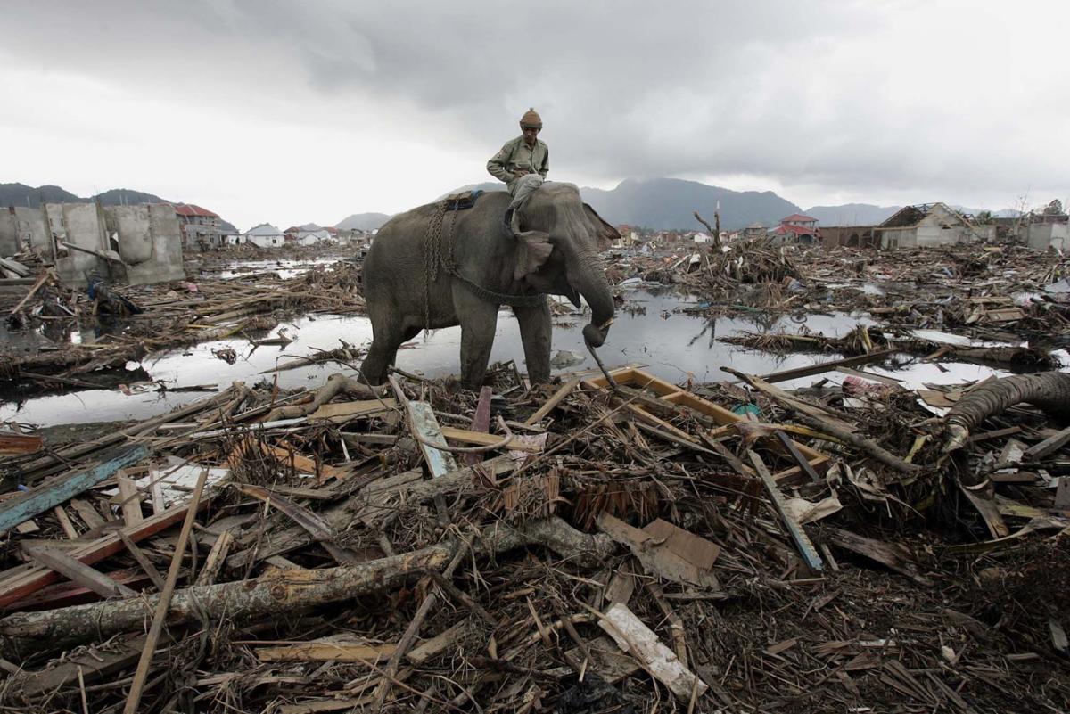 Gallery: Looking back at tsunami devastation
