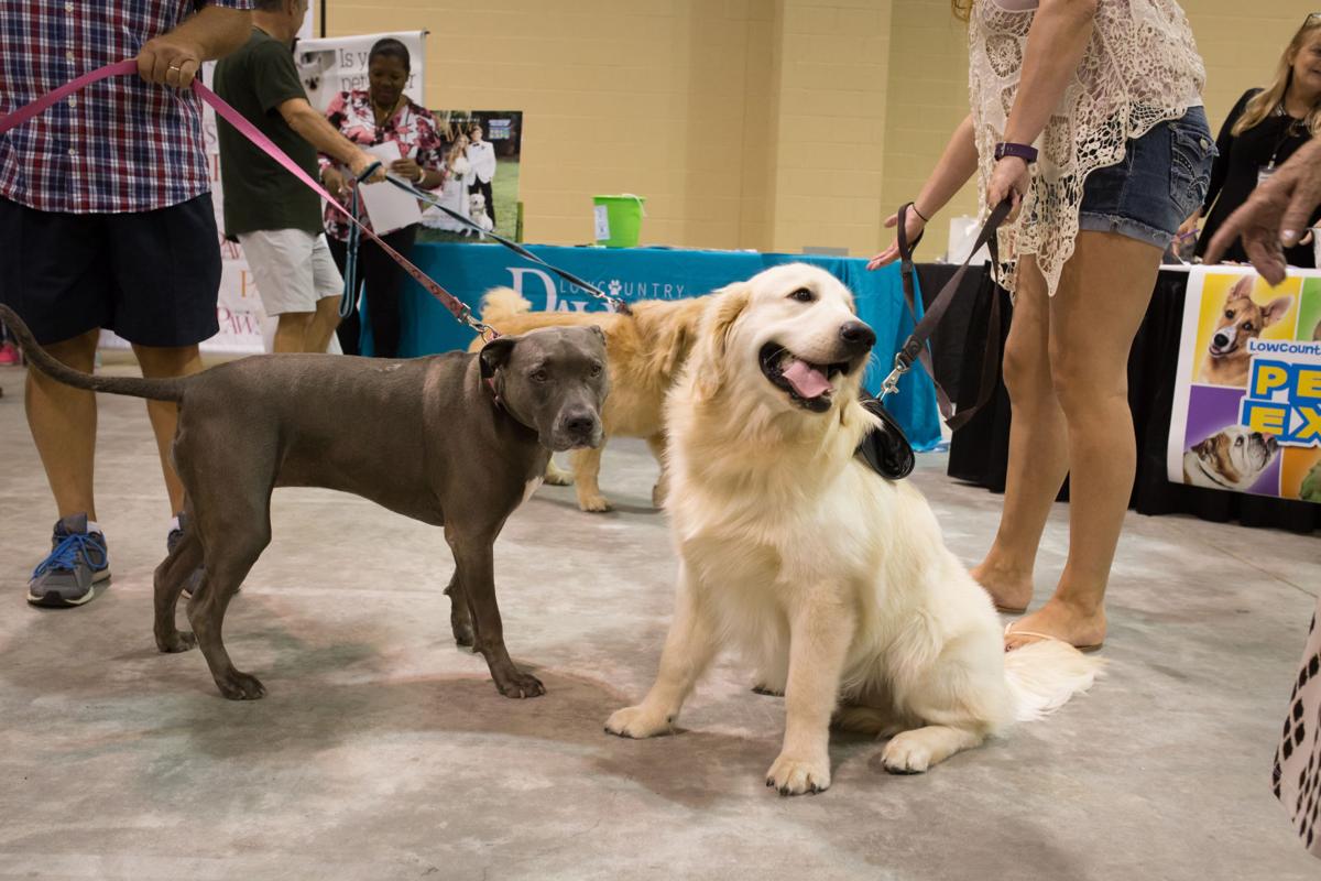 Pet Expo-October 14, 2017-250