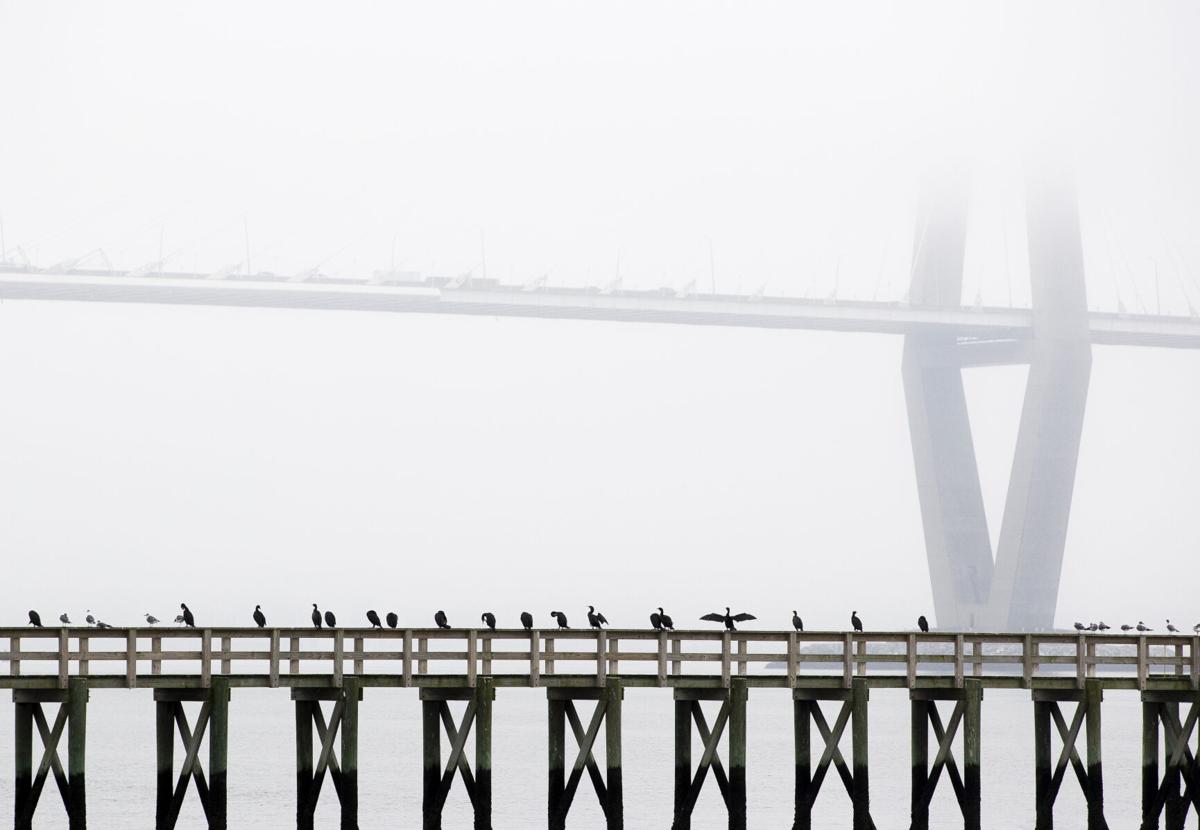 FOGGY WEATHER PRINT LEDE 2.JPG