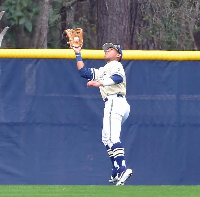 Charleston Southern Outfielder Only Player From Sc Named To Gold Glove Team Sports Postandcourier Com