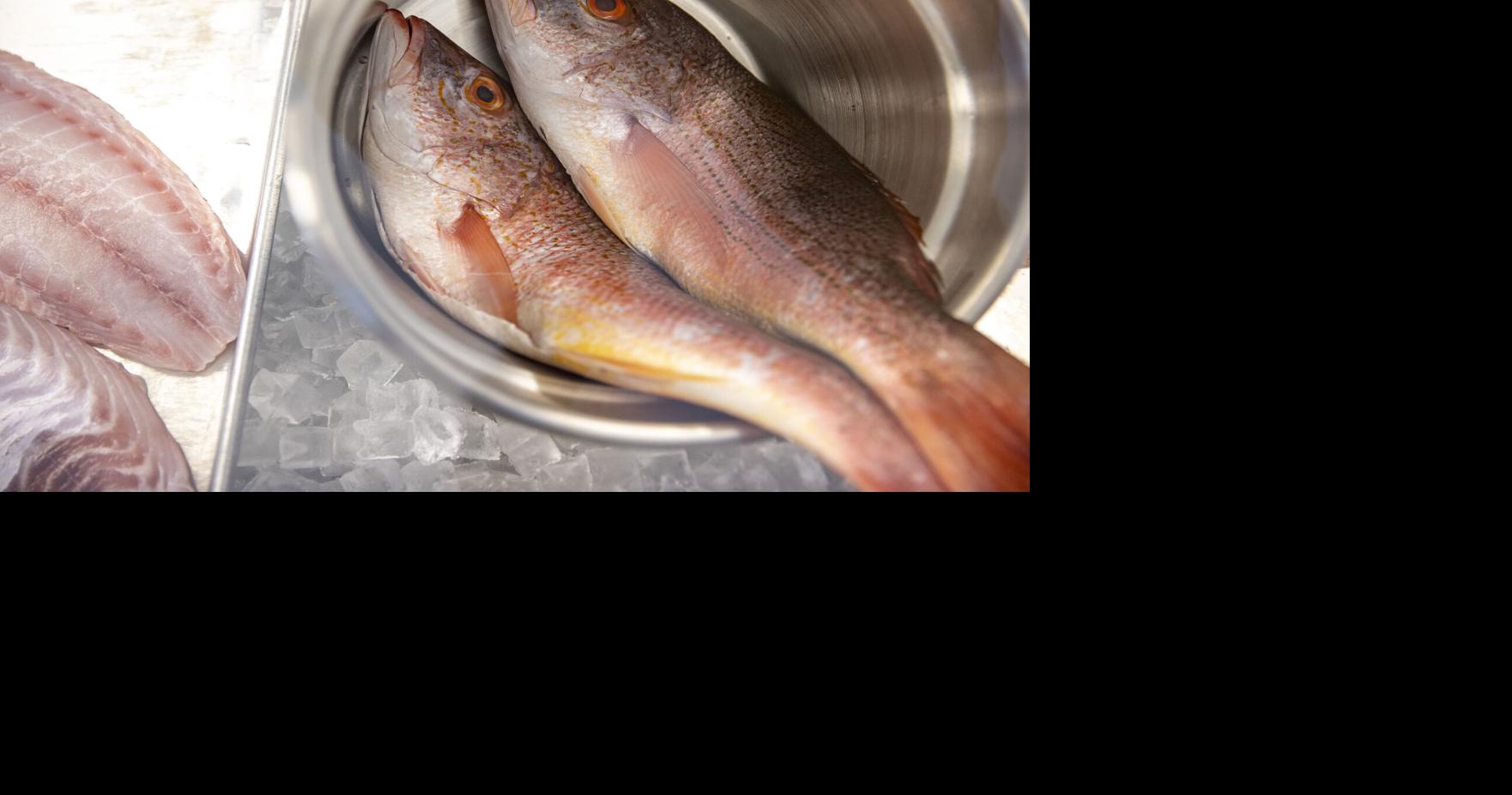 Red snapper season in SC extended from 2 days to 2 months this summer