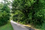 Greenville tree ordinance hampering affordable housing efforts