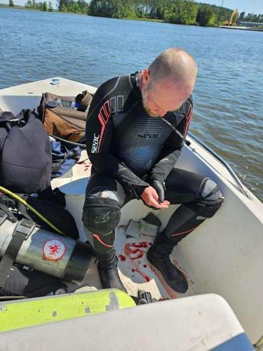 Man survives alligator attack in Cooper River | News | postandcourier.com