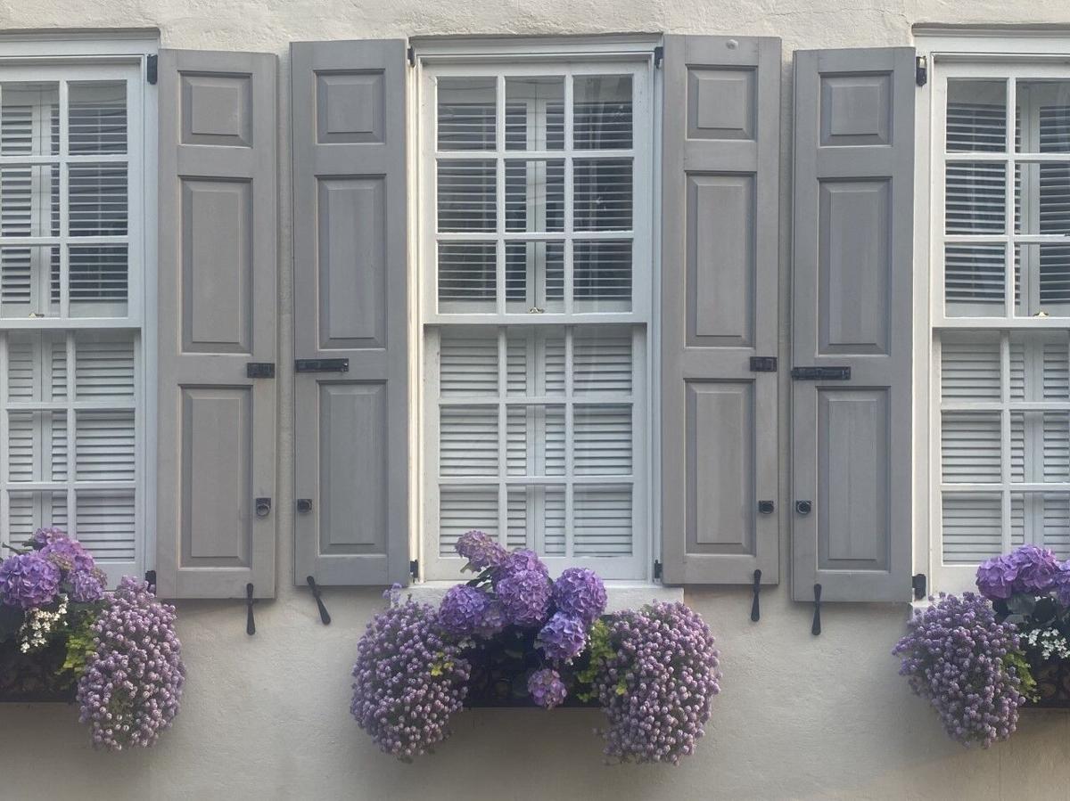 Ann-Auburn Window.jpg