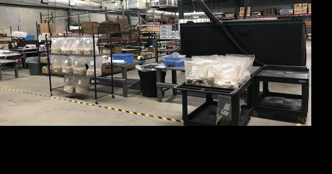 Gourmet mushroom operation sprouts in Spartanburg, with room to grow