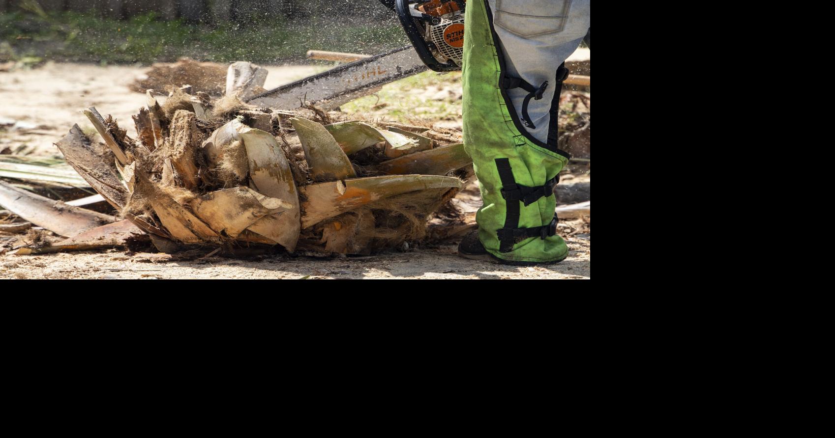 Charleston vows to ‘do better’ after residents voice concerns over Dominion removing palmetto trees