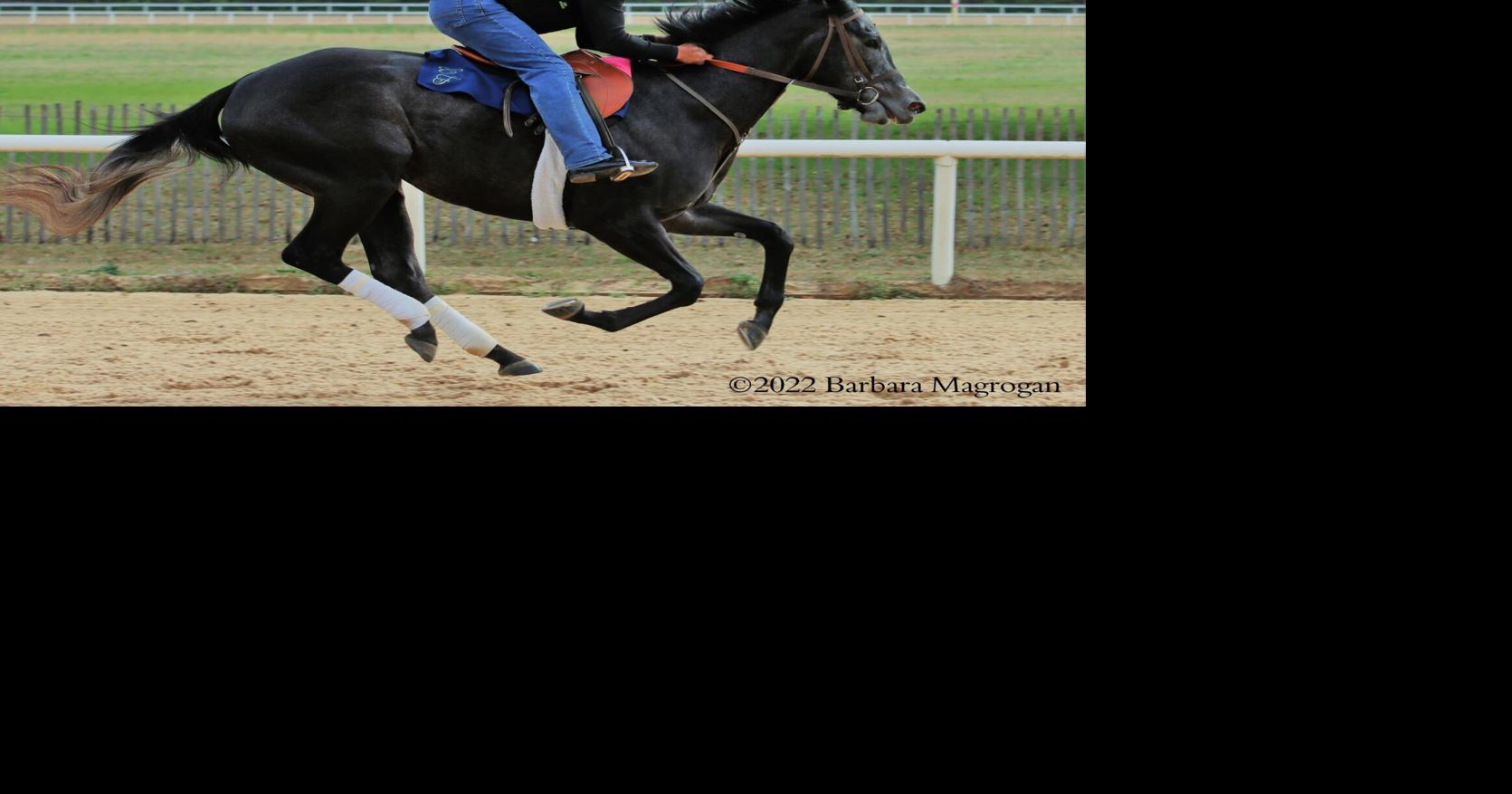 Aiken-trained Post Time to run in Whitney Stakes