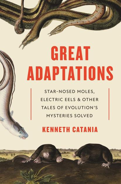 Review New Book Examines Small Natural Matters And Reaches Very Big Conclusions Book Reviews Postandcourier Com