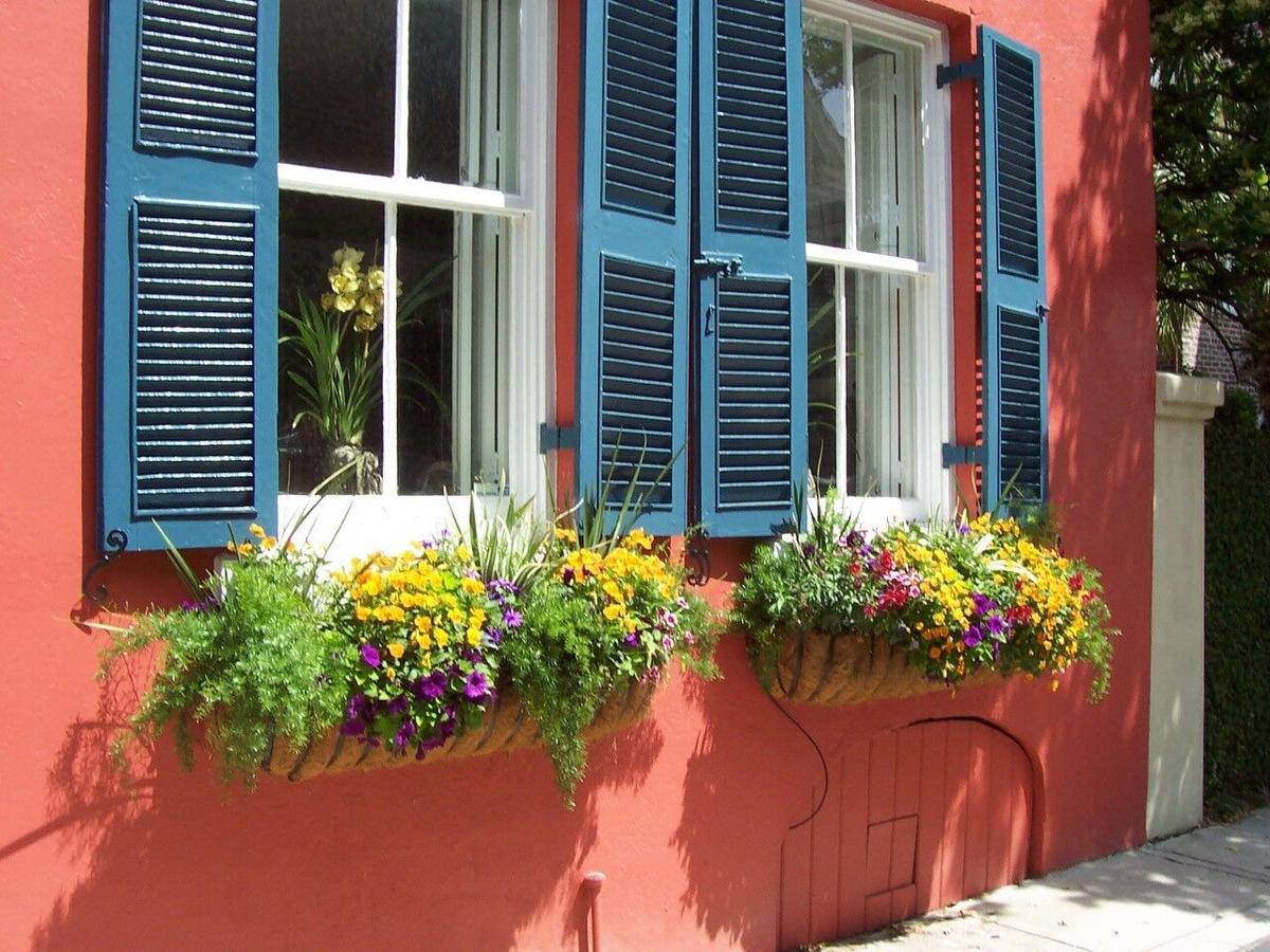 Marilyn-Kaple Window.jpg