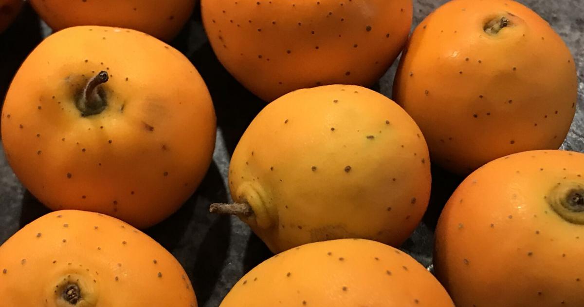 Mysterious fruit from the highlands of Mexico and Guatemala - Charleston Post Courier