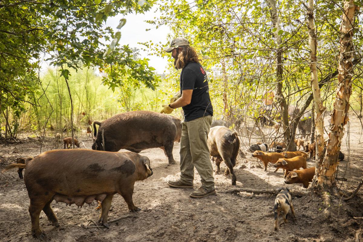 Holy City Hogs delivers pork to top chefs in Charleston