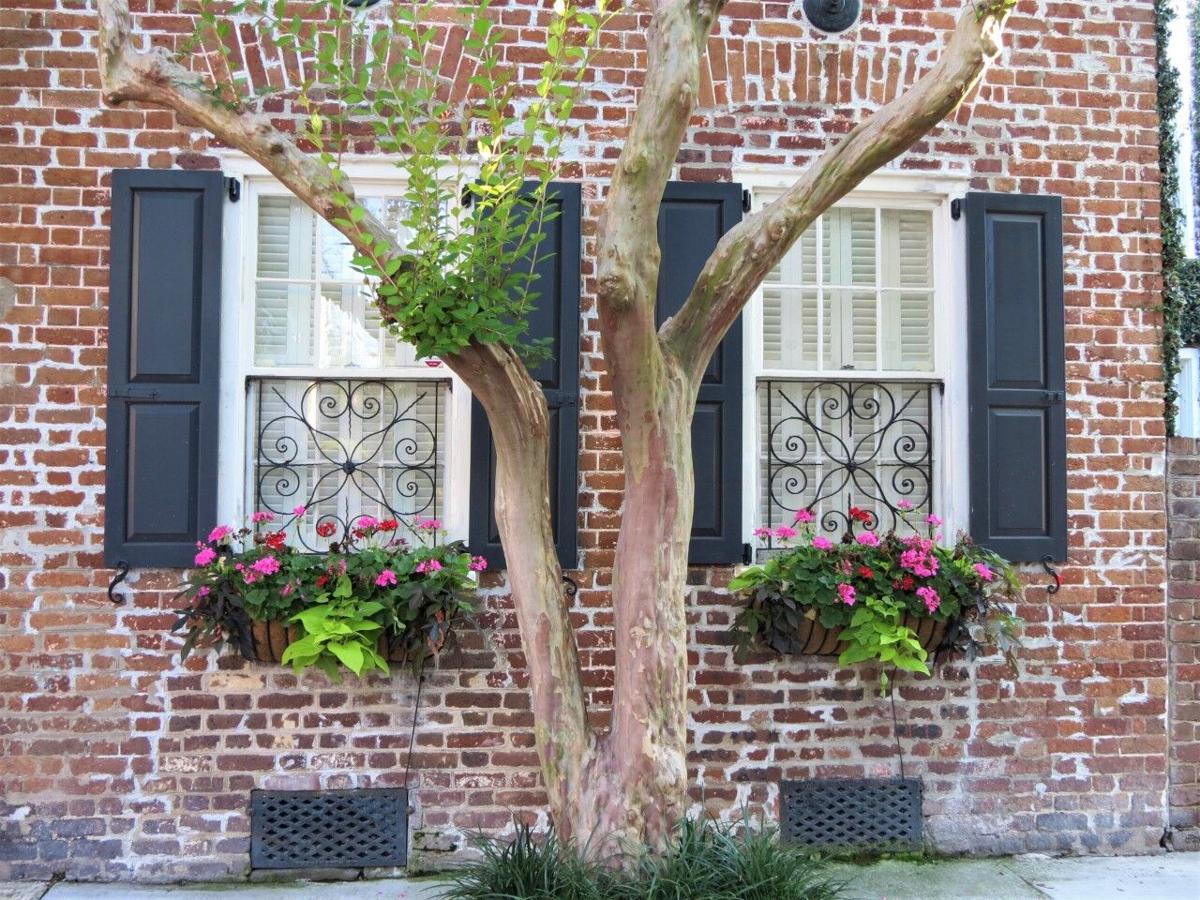 Robert-Peterson Window.jpg