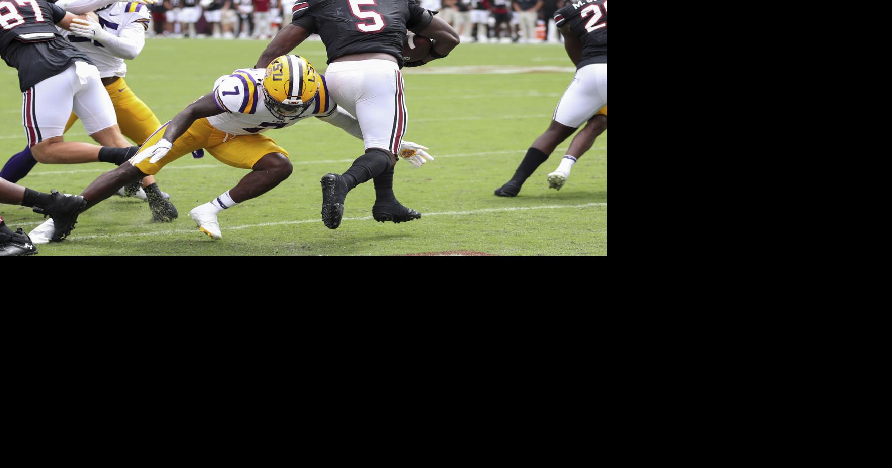 Gamecocks try to flush LSU loss by hosting Akron | USC Gamecocks Sports |  postandcourier.com