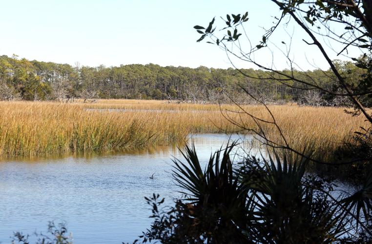 A look inside one of Charleston County's newest parks News