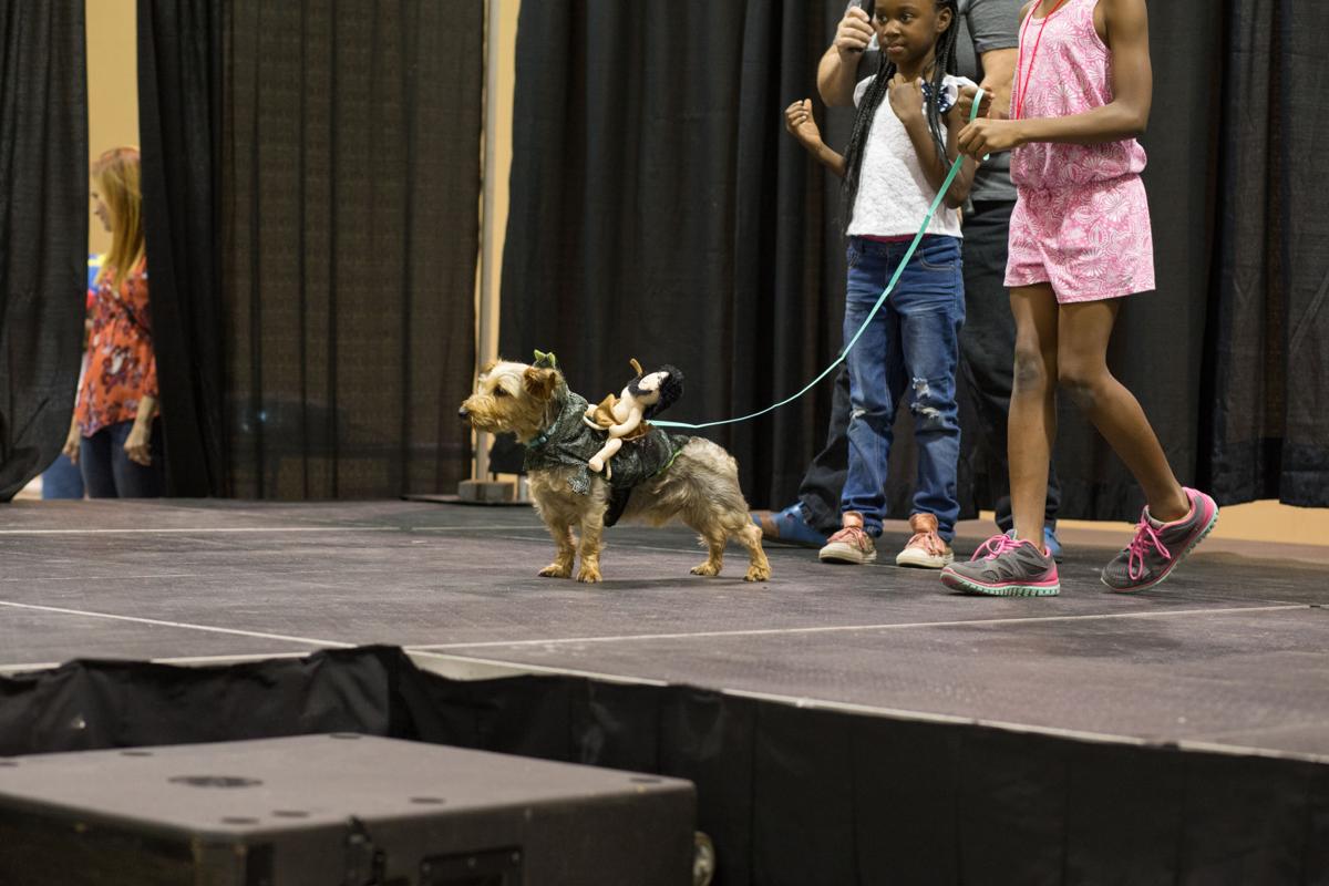 Pet Expo-October 14, 2017-876