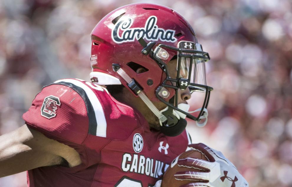 South Carolina's new football logo gets mixed reviews at season opener