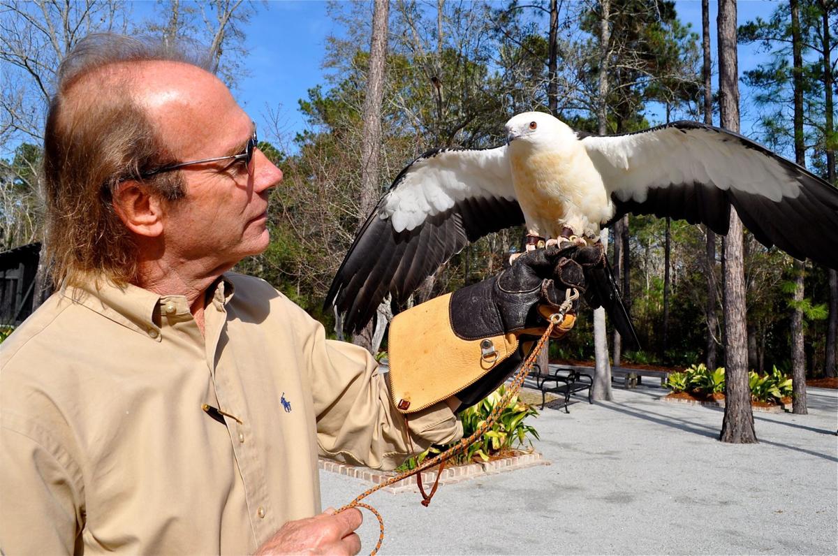 The Center for Birds of Prey Charleston(2023)