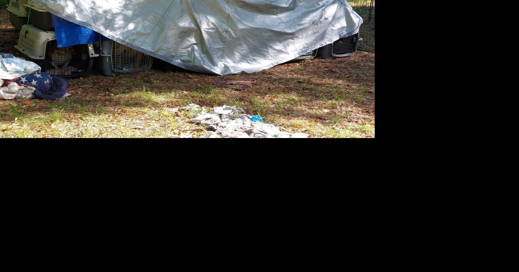 Auf Johns Island wurden 25 Hunde gefunden. Hier ist, was der Grundbesitzer ...