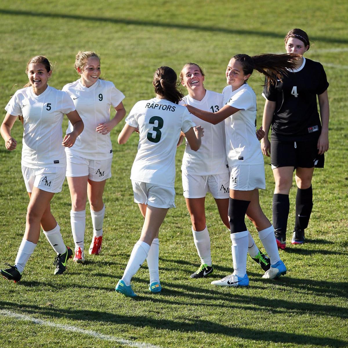 Academic Magnet blanks Andrews