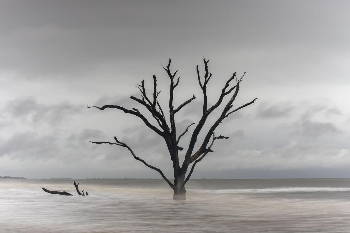 PRINT OPTION-Botany Bay erosion.JPG