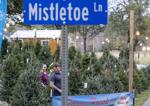 The road to Christmas: Take a trip down Mistletoe Lane, Peace Street and Holiday Drive, too