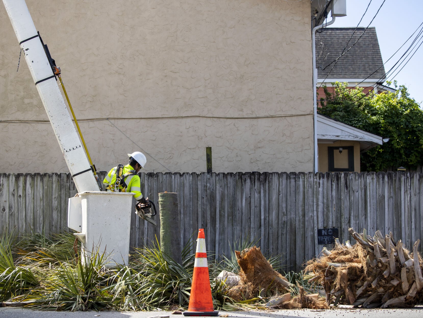 Dominion Energy Removes Hazardous Palmetto Trees in Charleston — image 5
