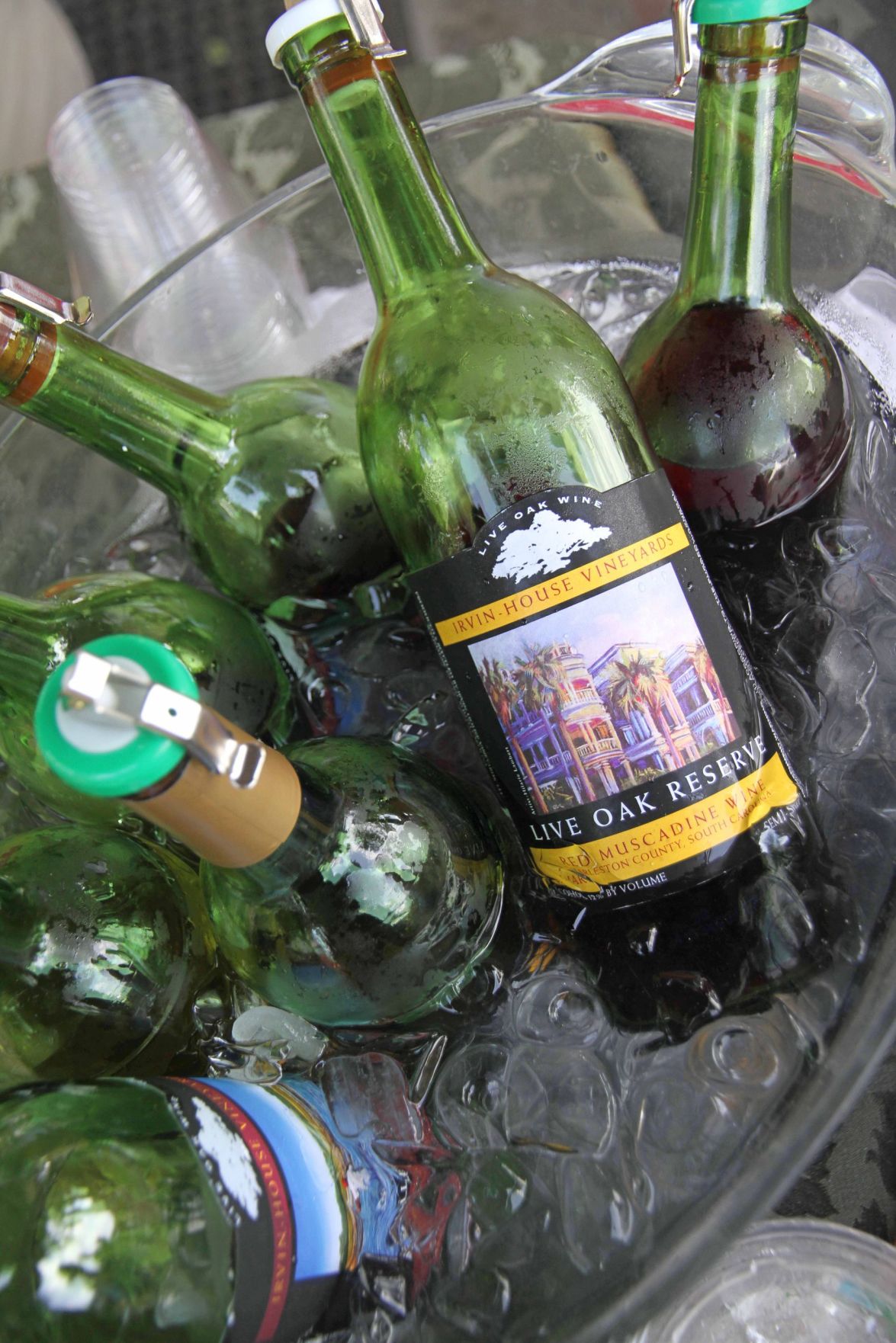 Grape Stomping Festival