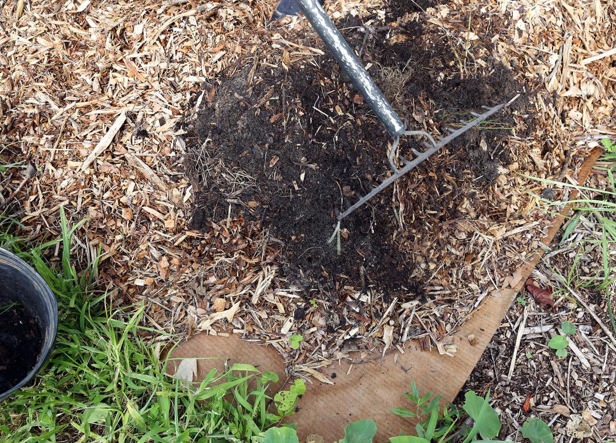 Permaculture