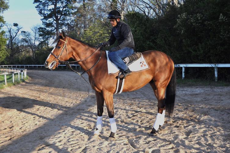 After surviving harrowing trip, colic, Mead Hall makes it to Aiken