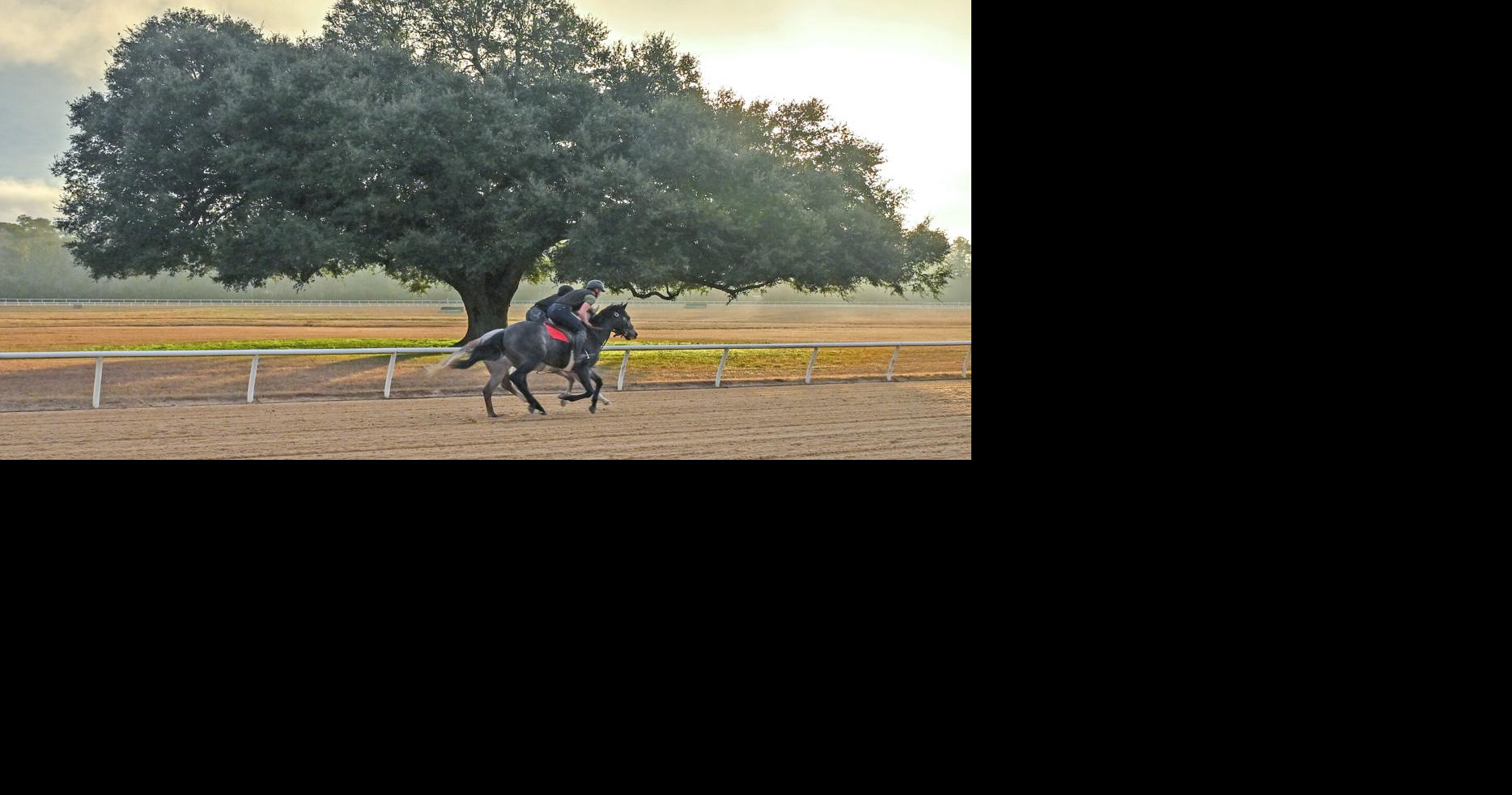 Aiken Training Track 'doing fine' despite rumors about its financial health, president says