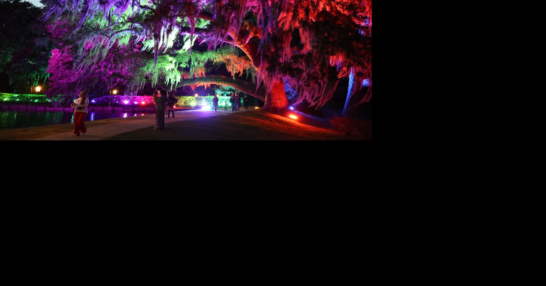 SNL’s Chloe Fineman will read you a bedtime story at this Charleston hotel