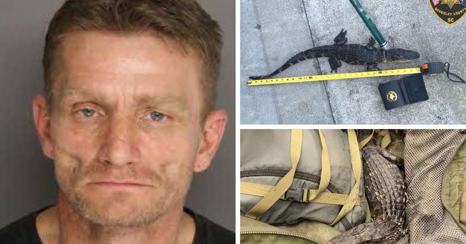 Moncks Corner man arrested 6 months after high-speed chase involving ...