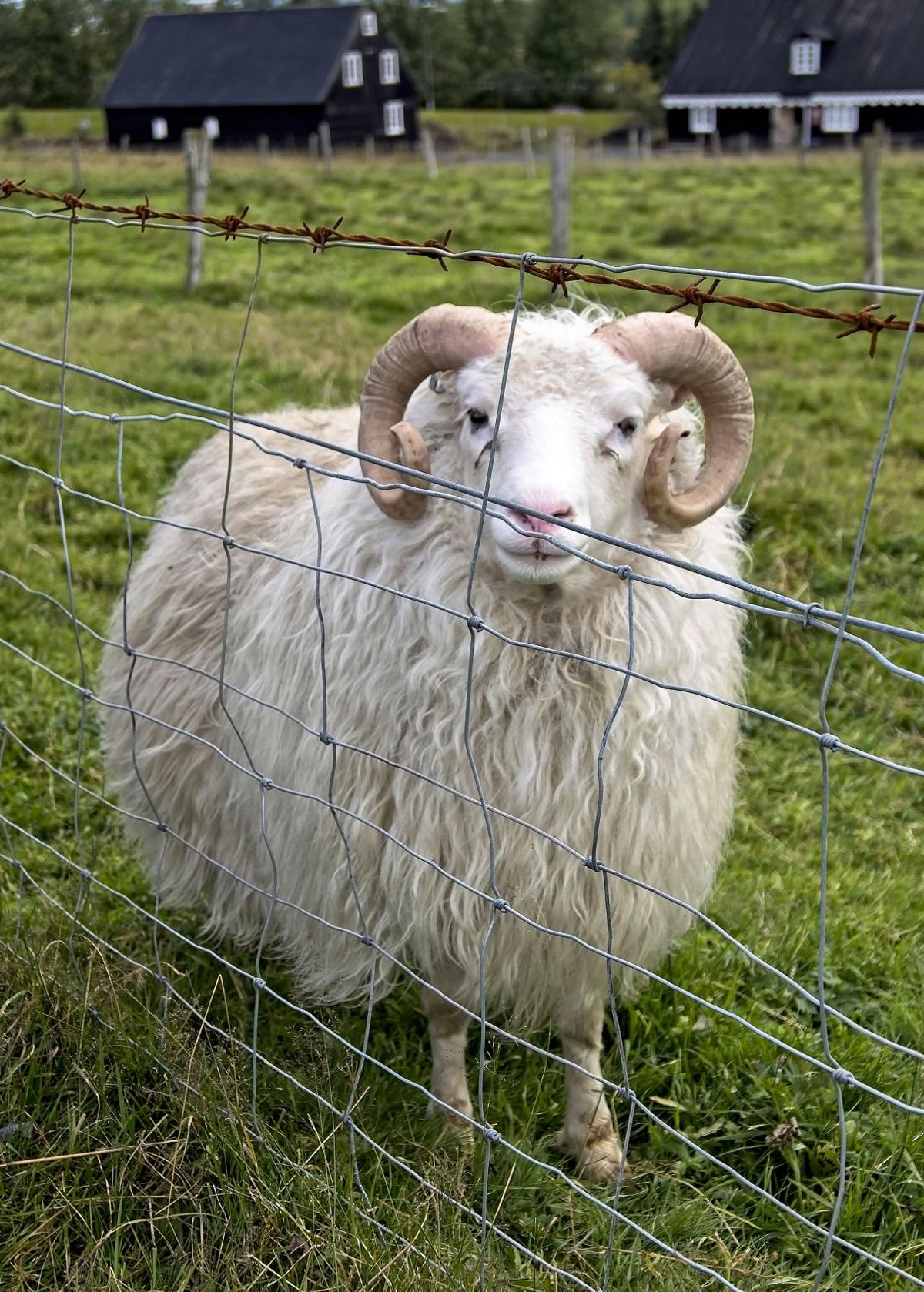 Ken-Robichaux Farm.jpg