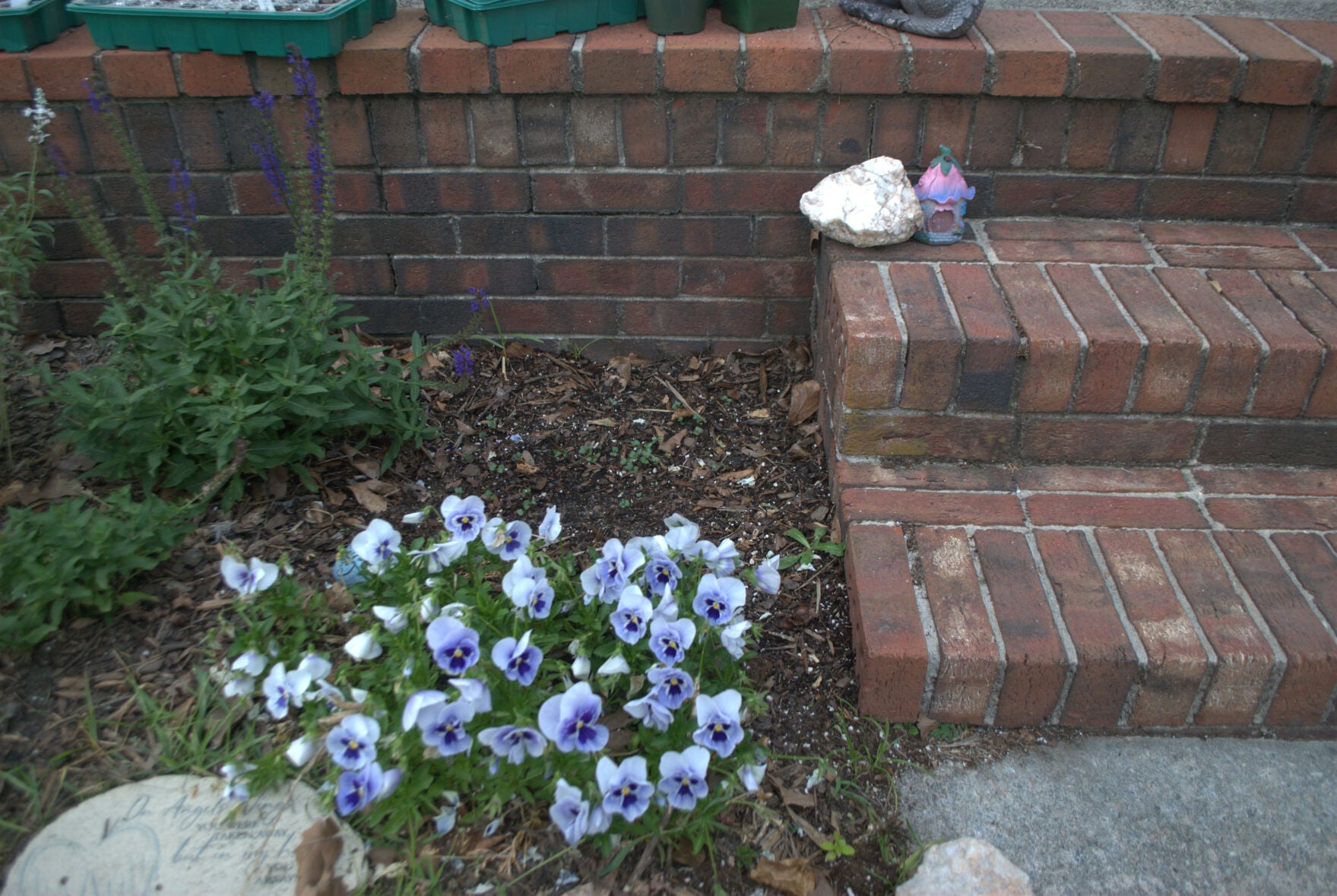 styrofoam in gregory yard