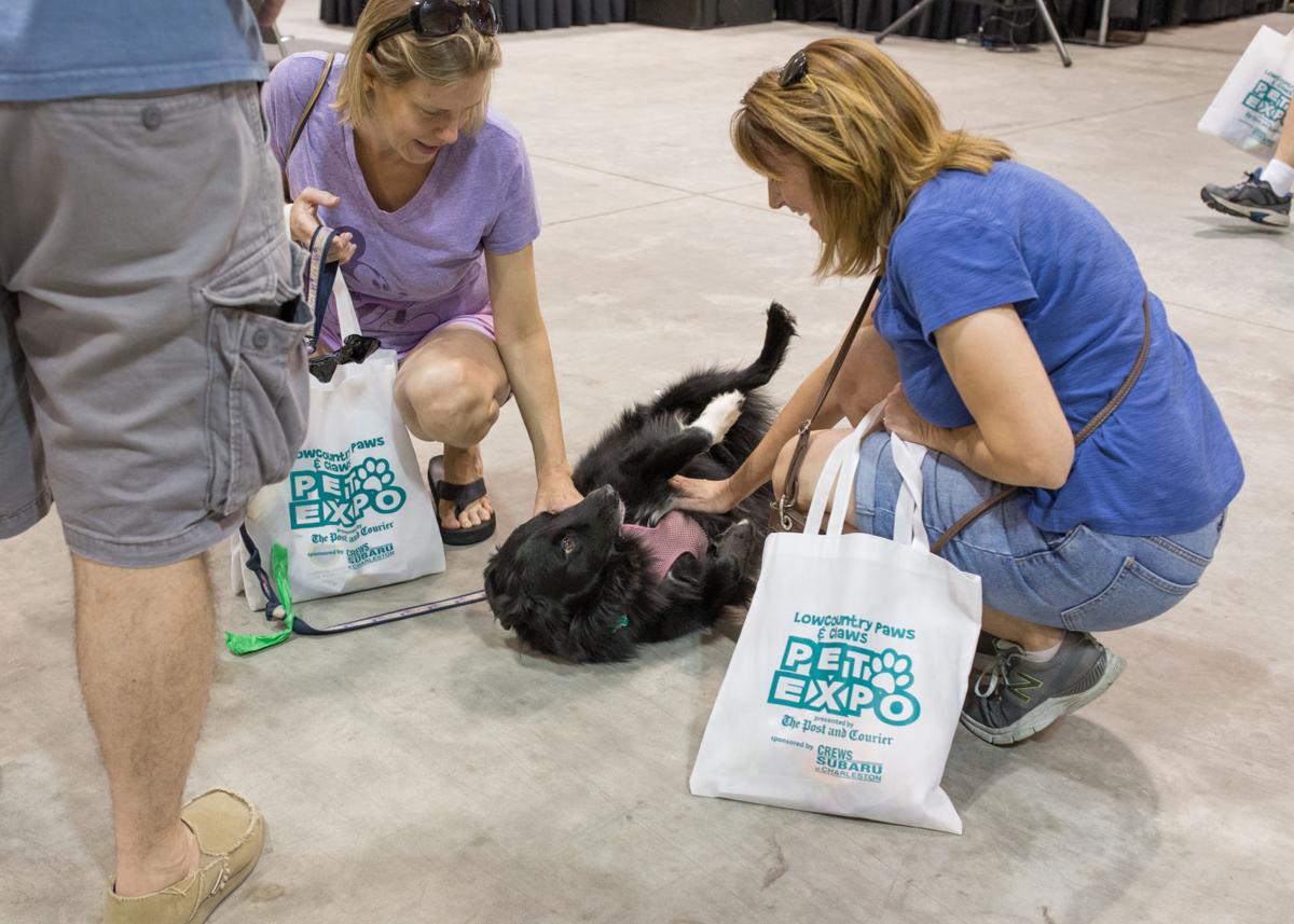 Pet Expo-October 14, 2017-435
