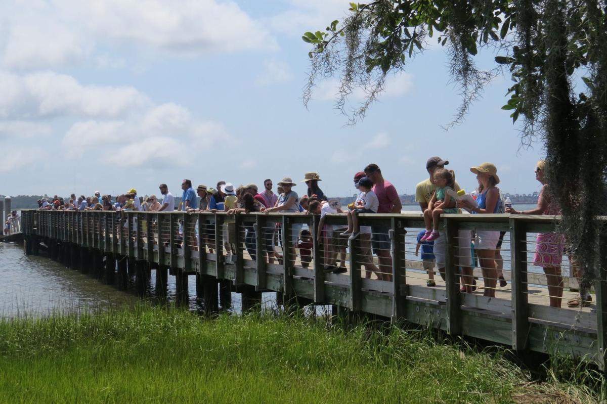 10th Annual Rotary Charity Duck Race