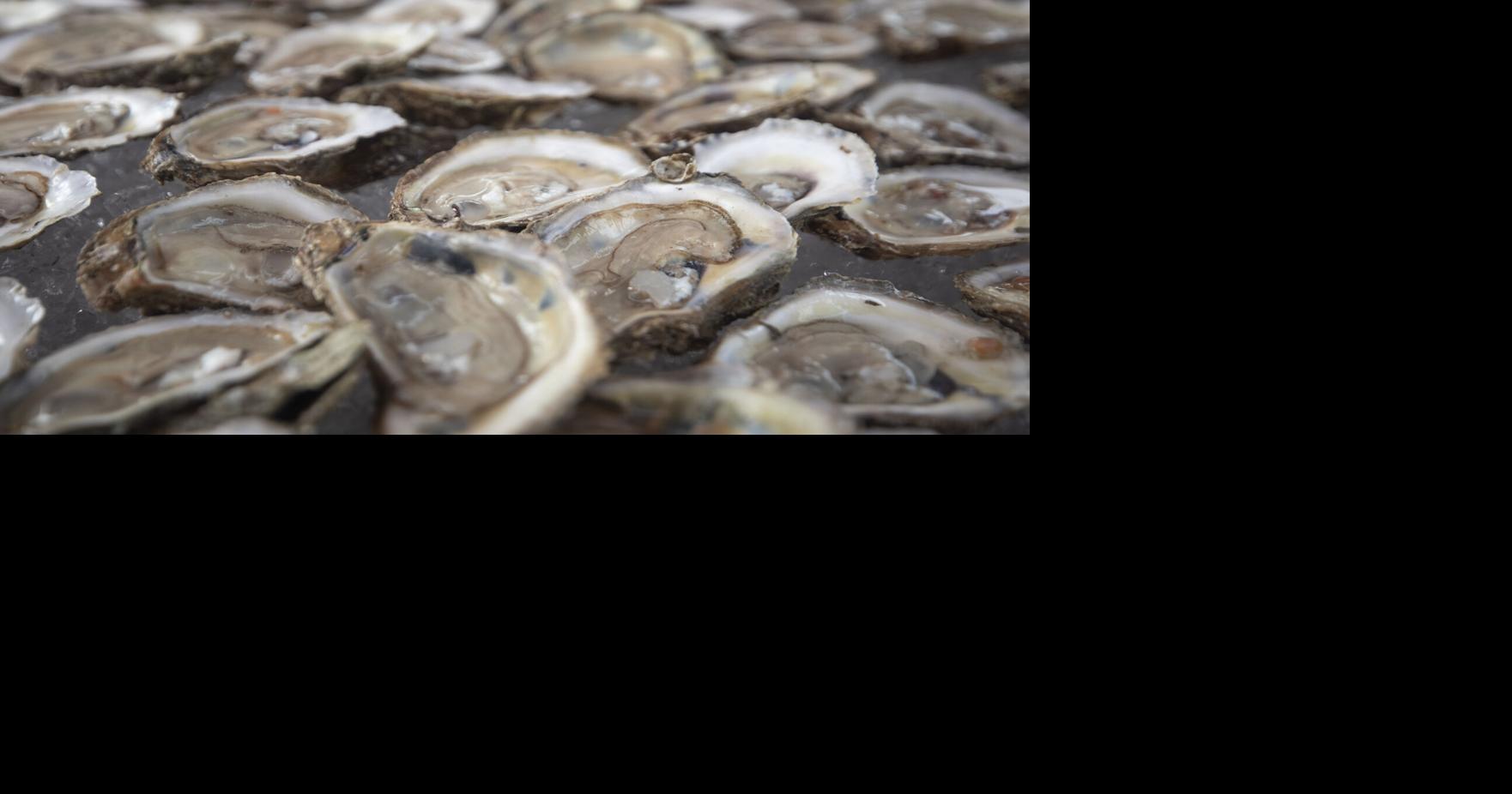 Raw oyster lovers beware: national Salmonella outbreak sickens people in South Carolina, CDC says