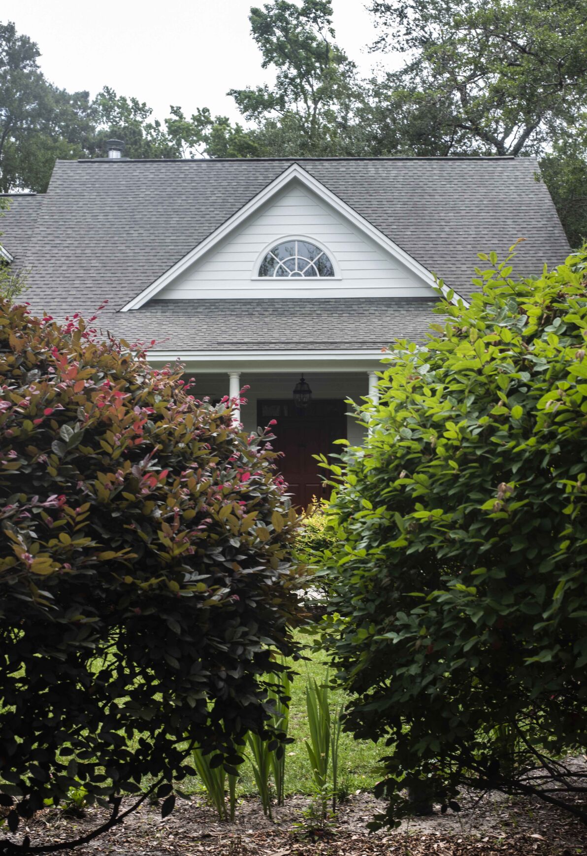 Wedgefield Plantation