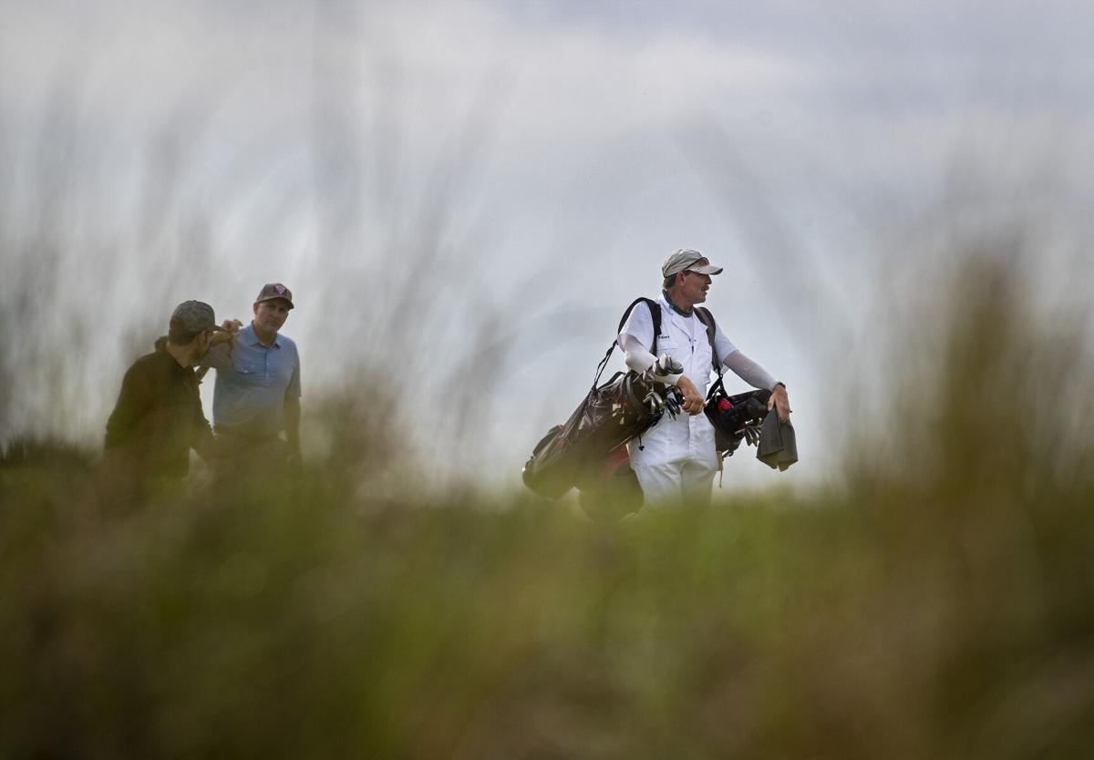 tall grasses.jpg