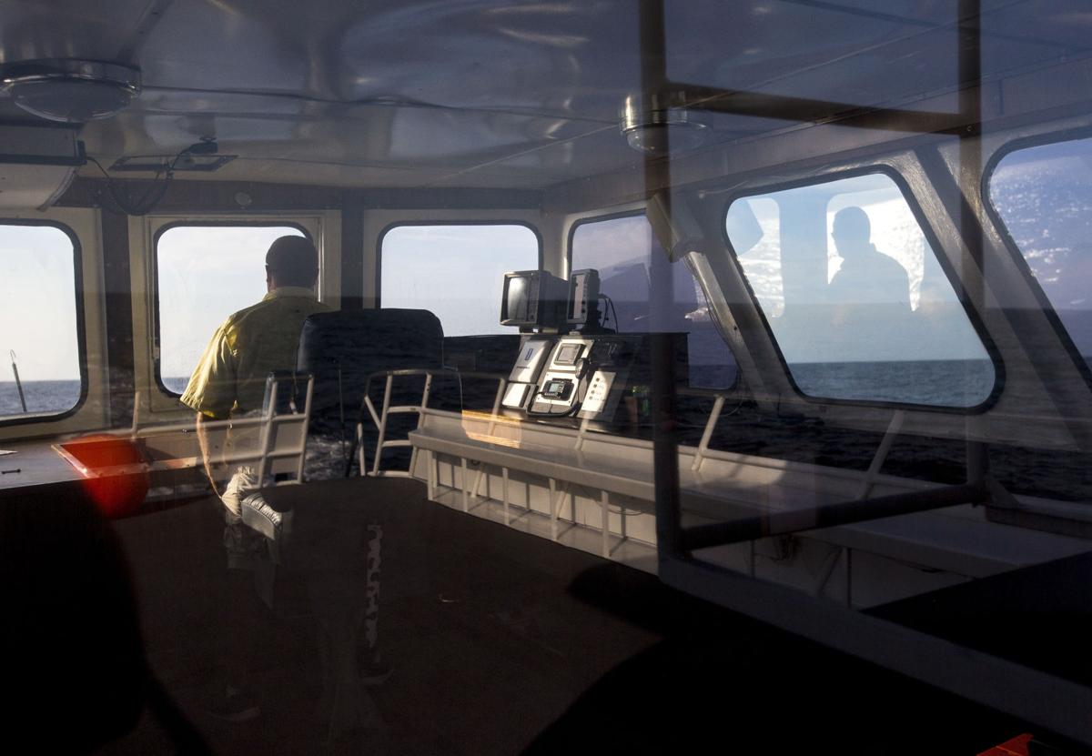 Gulf Stream Fishing03.JPG