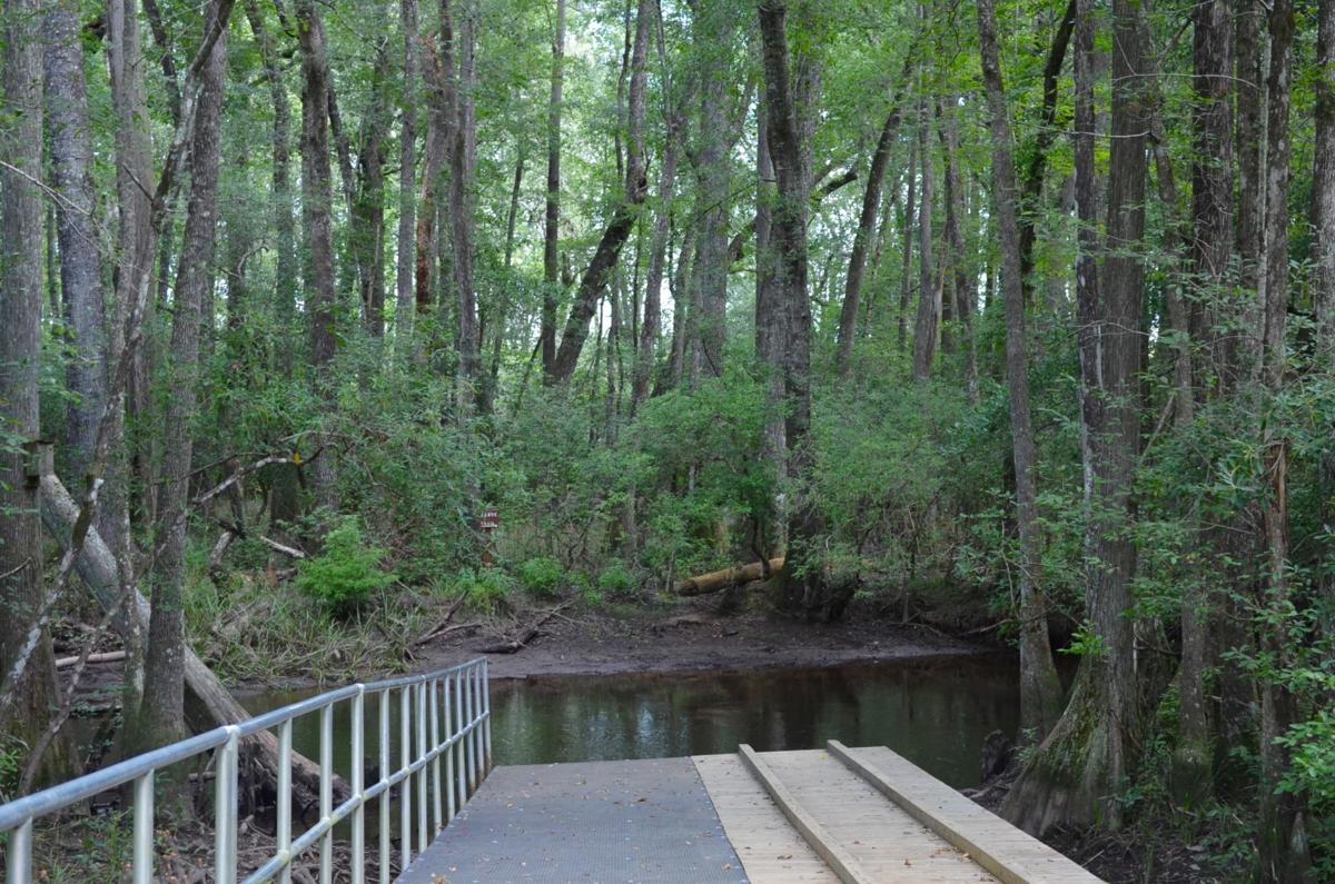 Escape to Aiken State Park: Where History Meets Nature in South Carolina