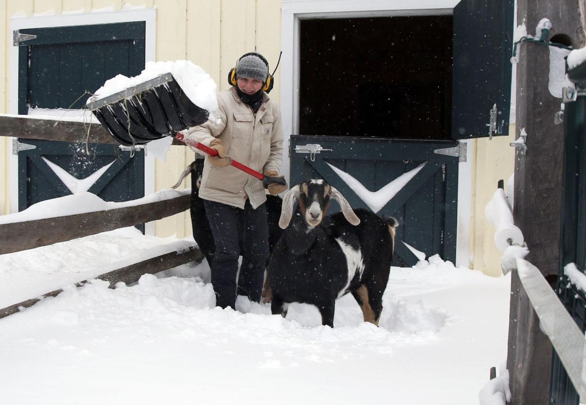 Snow Storm Hits Northeast