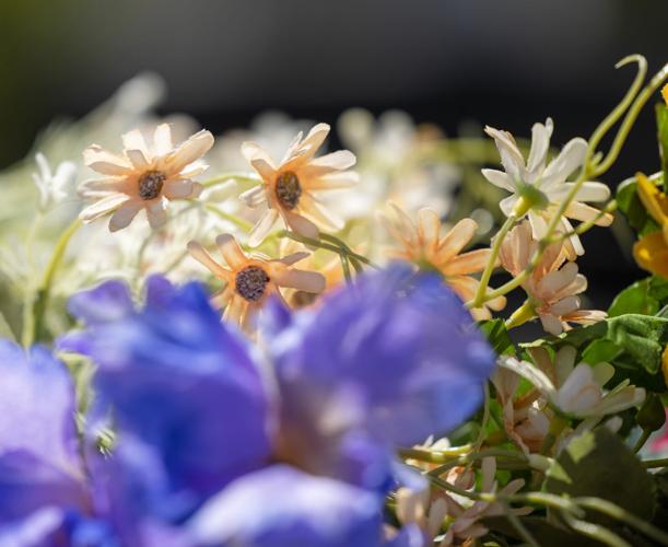 Photos Flowertown Festival blooms in Summerville Photos from The