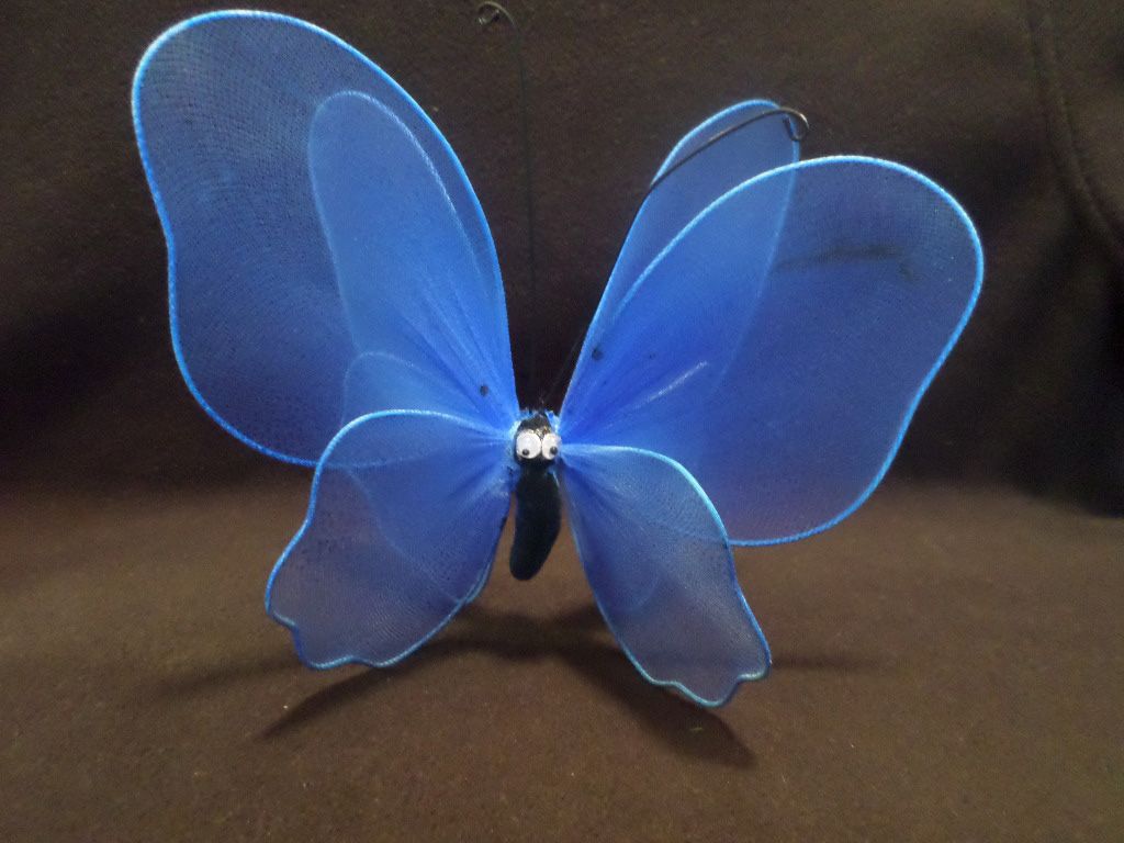 Reader photos: Blue