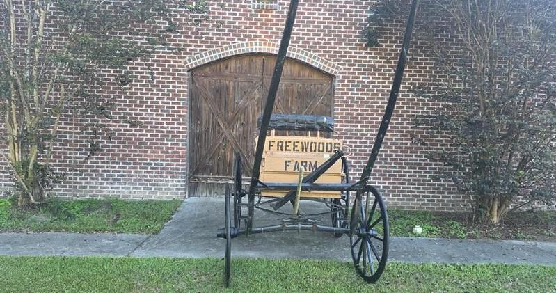 'A perfect connection': SC State University celebrates acquisition of historic Horry County farm