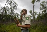 Fish and Wildlife Service wants to move woodpecker species' from endangered to threatened status
