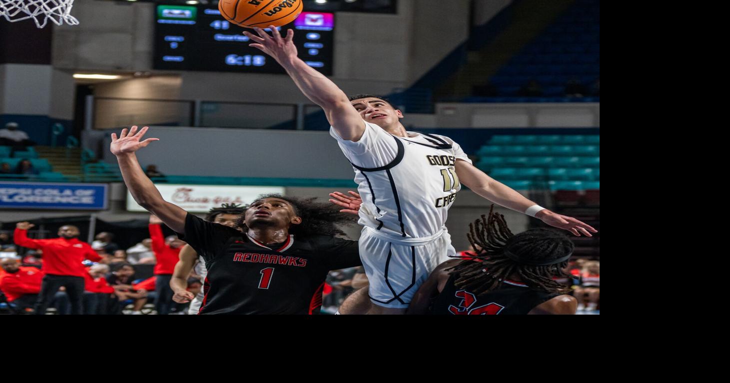 Gators fall in Lower State championship game