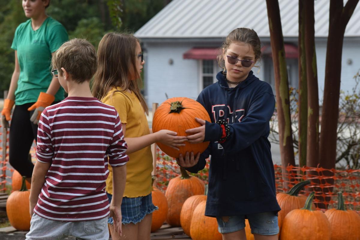 Hook Up Websites Aiken Hook Up Websites Aiken