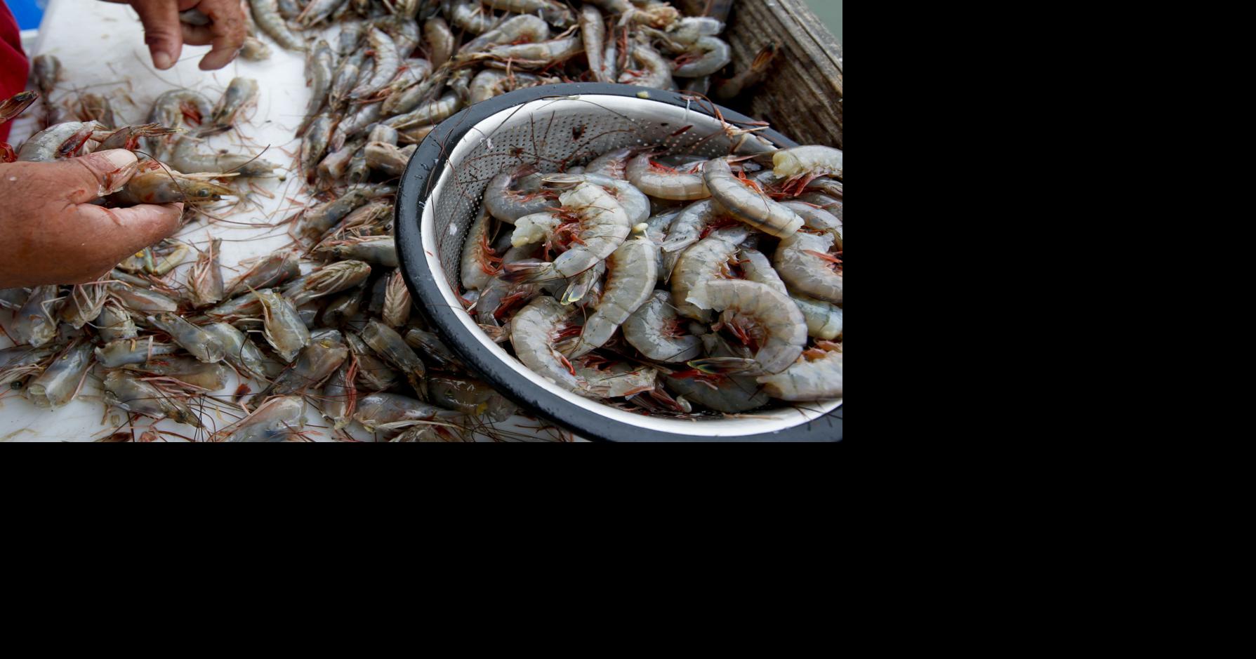 Stono’s Oyster Bar to open in 2027; shrimp bill passes in SC